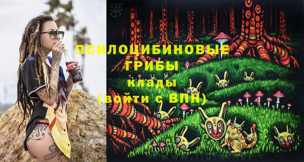 apvp Новокубанск