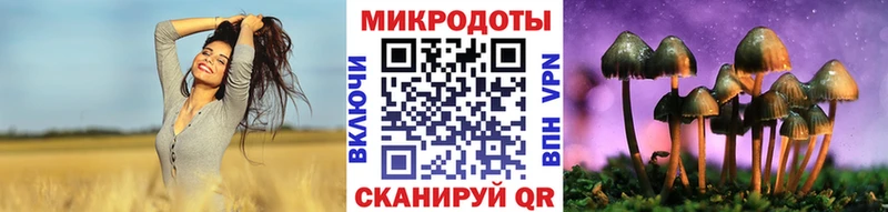 blacksprut рабочий сайт  наркотики  Таганрог  Псилоцибиновые грибы GOLDEN TEACHER 