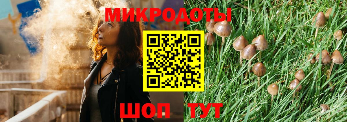 Псилоцибиновые грибы GOLDEN TEACHER Таганрог